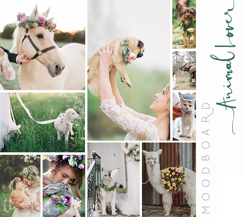 Animal Lover - Wedding Inspiration Moodboard